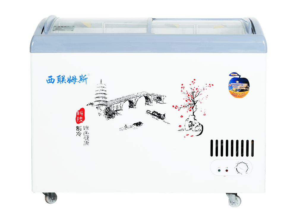 Curved Glass Freezer